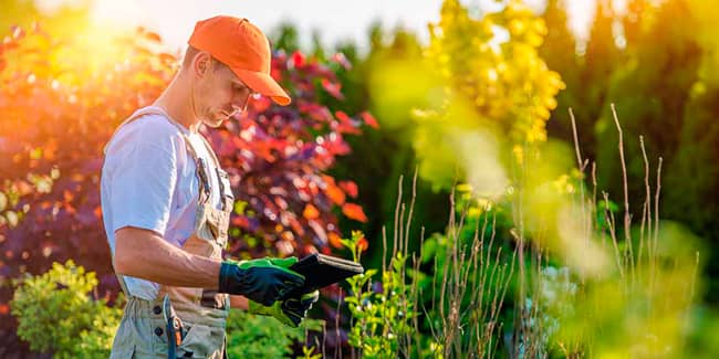 servicios de jardineria